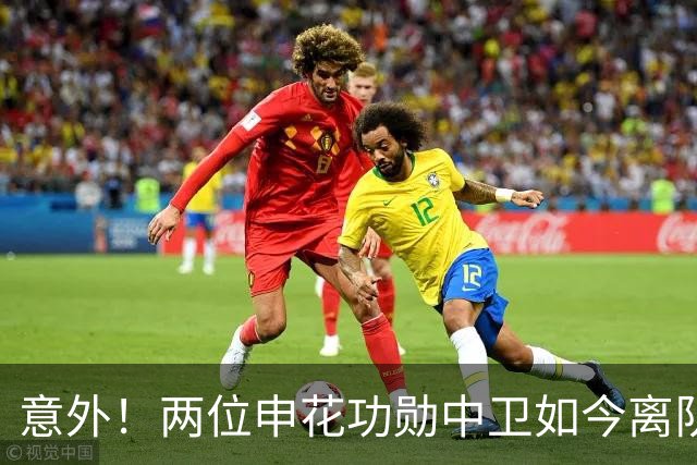 意外！两位申花功勋中卫如今离队后在中乙俱乐部再聚首，引发热议